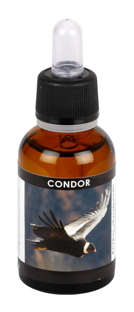 Condor - Acqua Vibrazionale