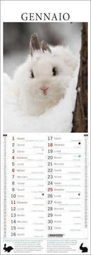 Coniglietti Calendario 2026 — Calendario - 2