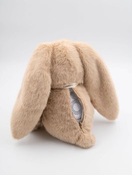 Coniglietto con Rumori Bianchi e Luce Notturna - 3