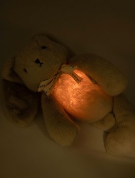 Coniglietto con Rumori Bianchi e Luce Notturna - 4