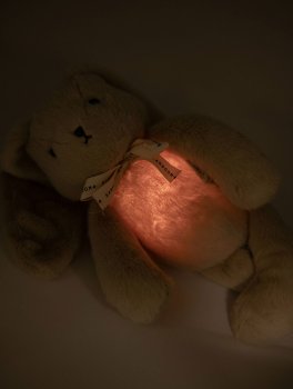 Coniglietto con Rumori Bianchi e Luce Notturna - 6