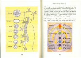 Conoscenza Iniziatica — Libro - 3