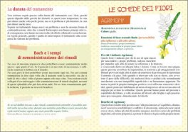 Conoscere, Amare e Guarire sé stessi con i Fiori di Bach — Libro - 2