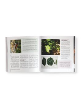 Conoscere le Piante per Coltivarle Bene — Libro - 2