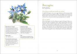 Conoscere le Piante Medicinali — Libro - 3