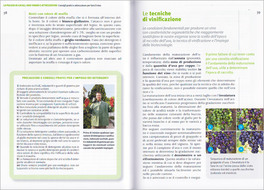 Consigli Pratici e Attrezzature per Farsi il Vino — Libro - 3