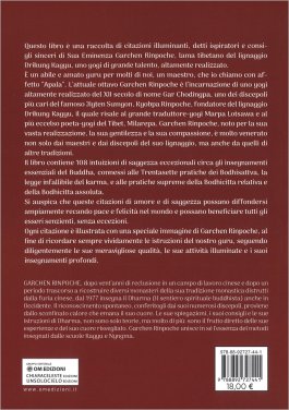 Consigli Spirituali dal Cuore del Prezioso Maestro — Libro - 2