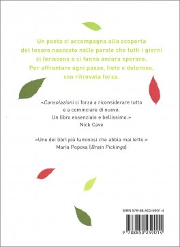Consolazioni — Libro - 2