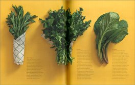 Contorno — Libro - 3