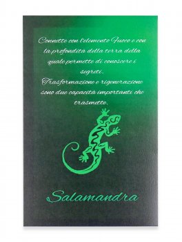 Conversazioni Sciamaniche Vol. 1 — Libro - 6