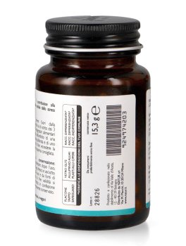 Coq10+ Carnitina - 3