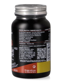 Cordy-Sin Sport - Integratore di fungo Cordyceps Sinensis in Capsule - 2