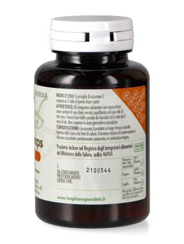 Cordyceps Basic - 2