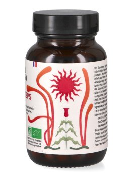 Cordyceps Bio - Capsule - 3