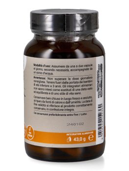 Cordyceps Sinensis - 2