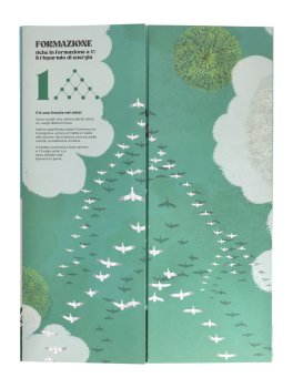 Coreografie Animali — Libro - 2