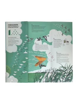 Coreografie Animali — Libro - 3