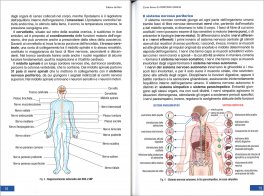Corso Breve di Anatomia Umana — Libro - 3