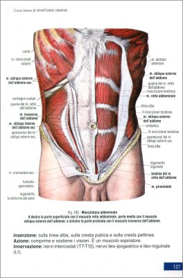 Corso Breve di Anatomia Umana — Libro - 4
