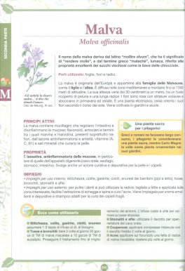 Corso Pratico di Erboristeria — Libro - 3