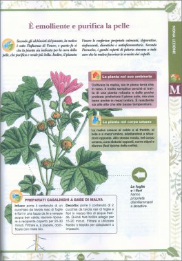 Corso Pratico di Erboristeria — Libro - 4
