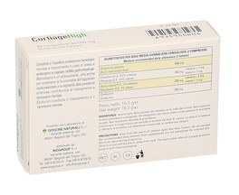 Cortiage High - 2