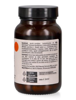Cortikal - Mind&Body - 2