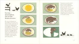 Cosa C'è Dentro? — Libro - 4