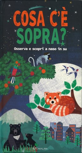 Cosa c'è Sopra? — Libro - 1