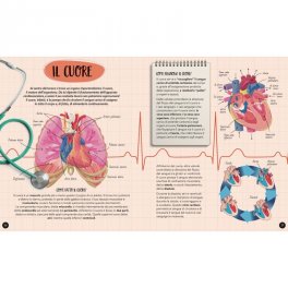 Cosa, Come, Perchè - Il Corpo Umano — Libro - 7