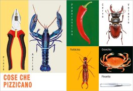 Cose Così Cose Cosà — Libro - 5