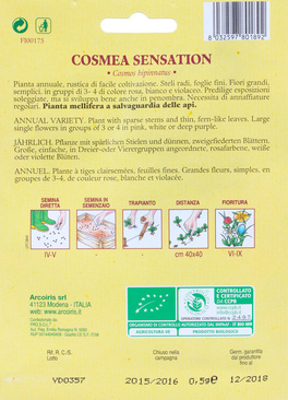 Semi di Cosmea - 2