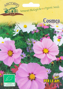 Semi di Cosmea