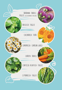 Cosmesi Naturale — Libro - 2