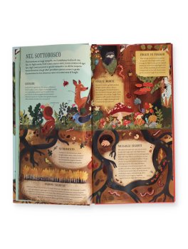 Costruisci il Tuo Albero — Libro/Gioco - 2