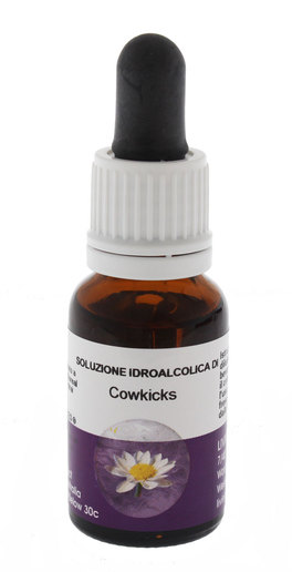 Cowkicks - Fiori australiani - 1