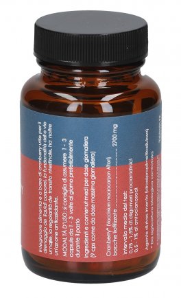 Cranberry - 2