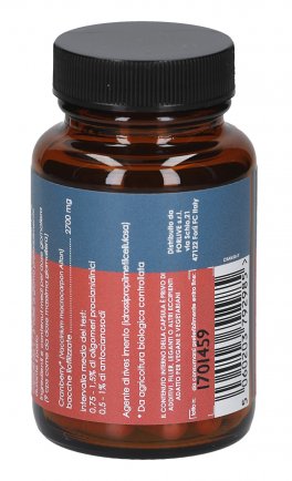 Cranberry - 3