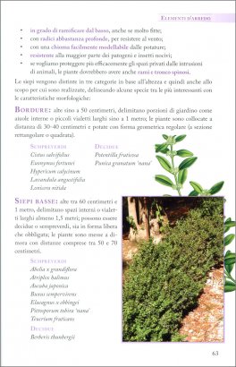 Crea il Tuo Spazio Verde — Libro - 4