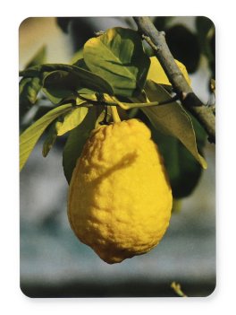 Creative Cards - 5