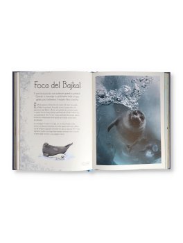 Creature Marine — Libro - 4