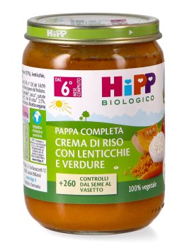 Crema di Riso con Lenticchie e Verdure Bio - 1