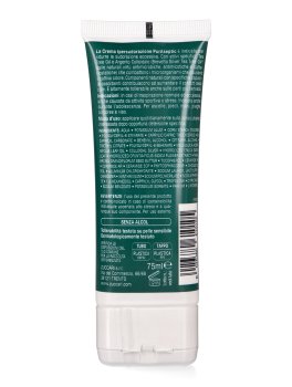 Crema Ipersudorazione PurAseptic - 3