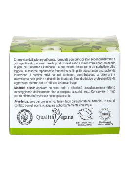 Crema Sorbetto alla Mela Verde - 7