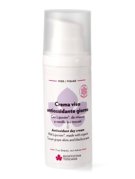 Crema Viso Antiossidante Giorno - 1