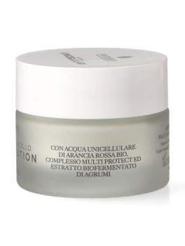 Crema Viso Collo Antipollution - 2