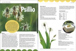 Crudo Style n. 26 - Aprile/Maggio 2019 — Rivista - 3