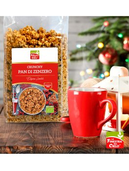 Crunchy di Natale Bio - Pan di Zenzero - 3