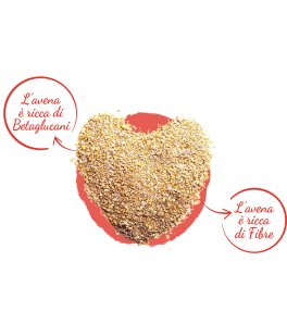 Crusca d'Avena Bio - 3
