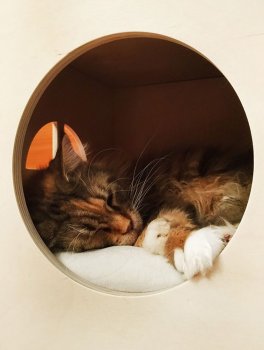 Cuccia per Gatti Round - 9
